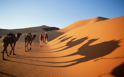 algerie-tourisme-3